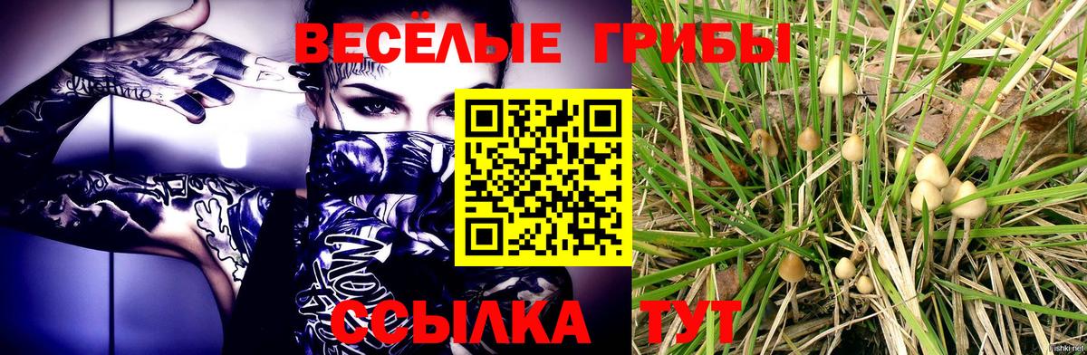 Псилоцибиновые грибы прущие грибы Ленинск-Кузнецкий
