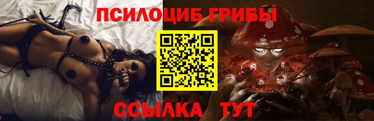 Галлюциногенные грибы GOLDEN TEACHER  Вход с VPN  Ленинск-Кузнецкий 